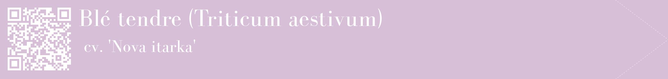 étiquette 2