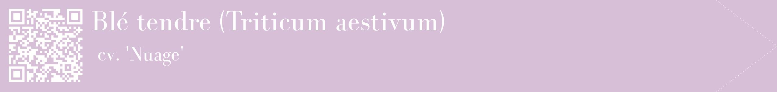 étiquette 2
