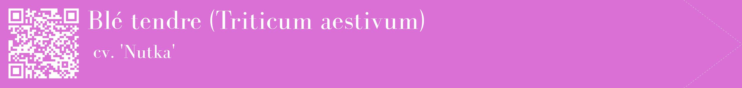 étiquette 2
