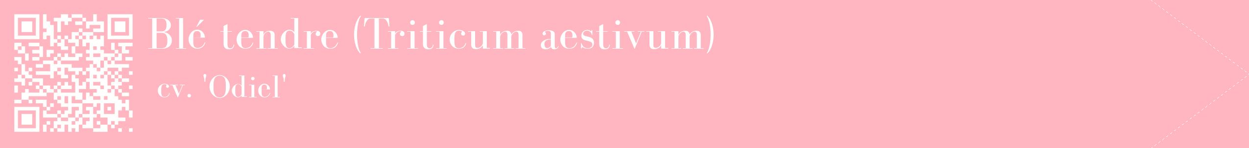 étiquette 2