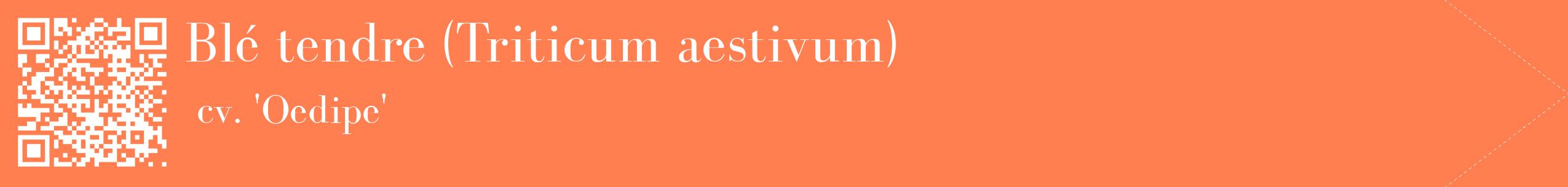 étiquette 2
