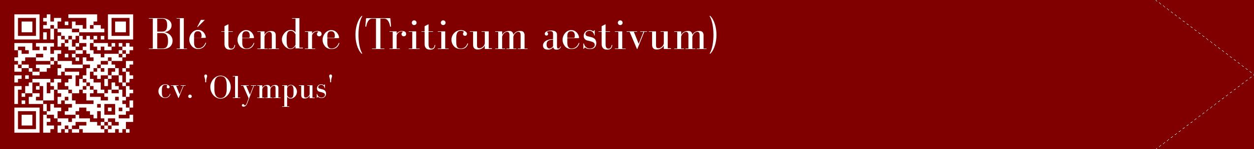 étiquette 2