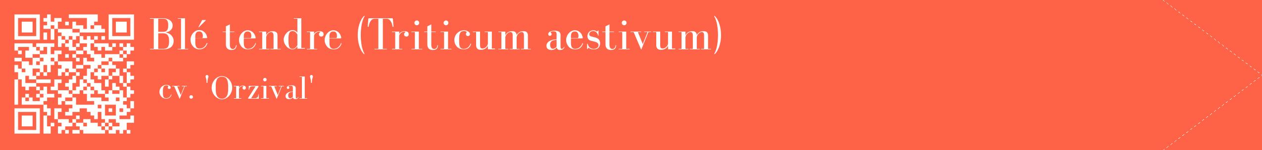 étiquette 2