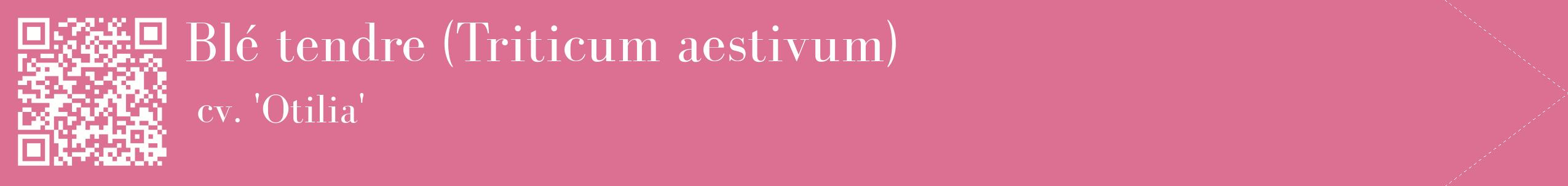 étiquette 2