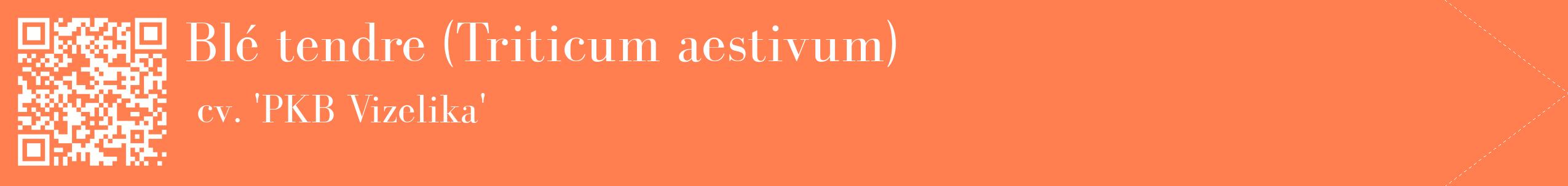 étiquette 2