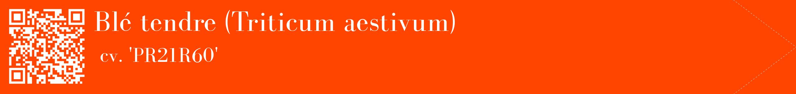 étiquette 2