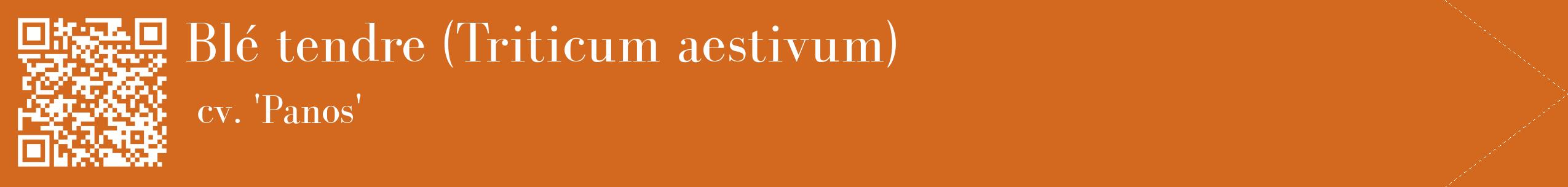 étiquette 2