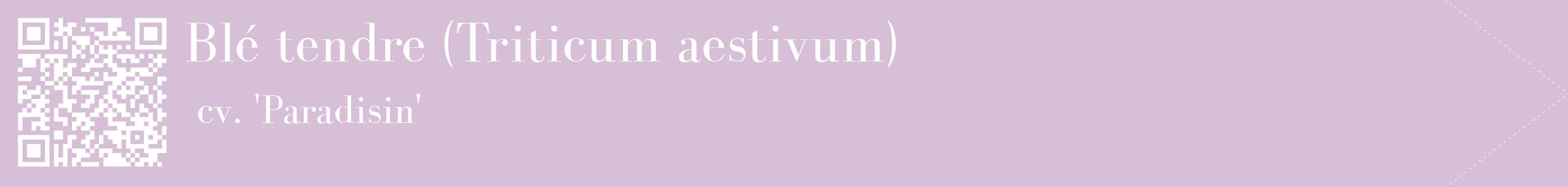 étiquette 2