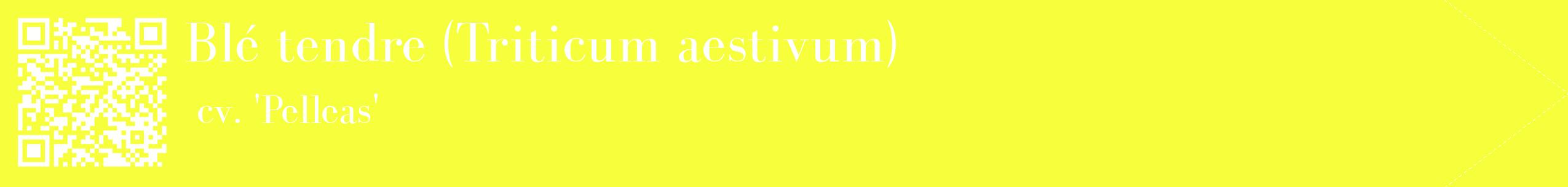 étiquette 2