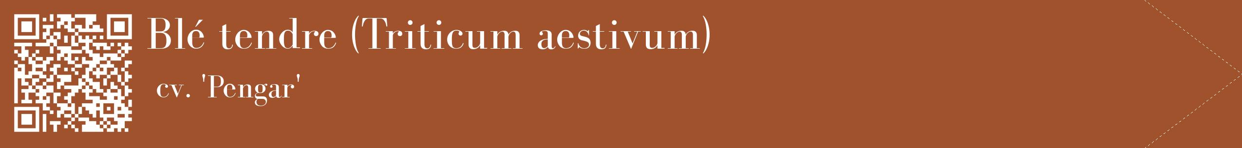 étiquette 2