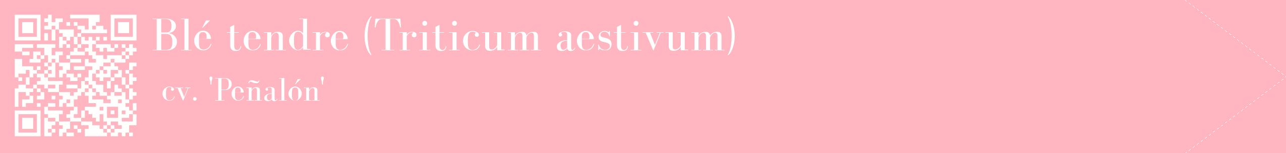 étiquette 2