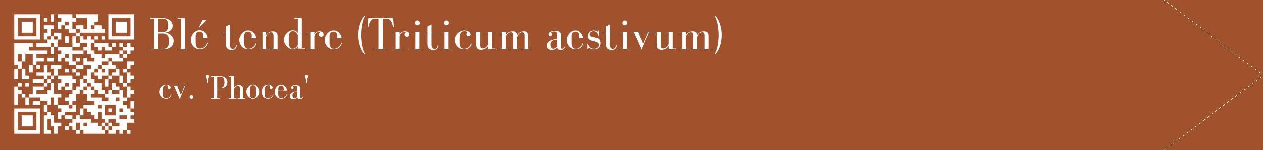 étiquette 2