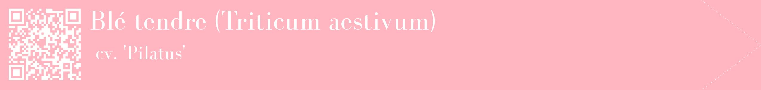 étiquette 2