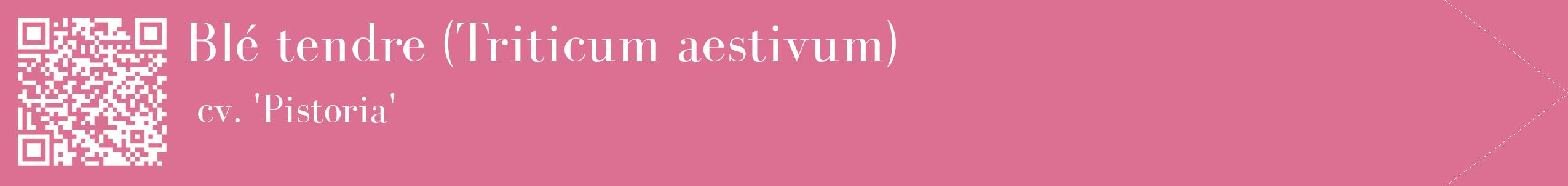 étiquette 2