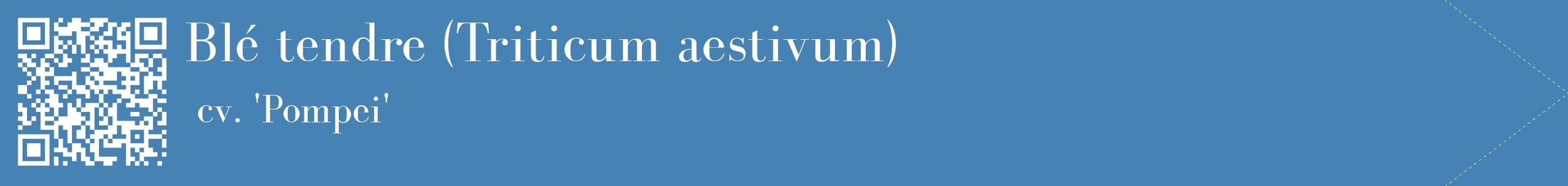 étiquette 2
