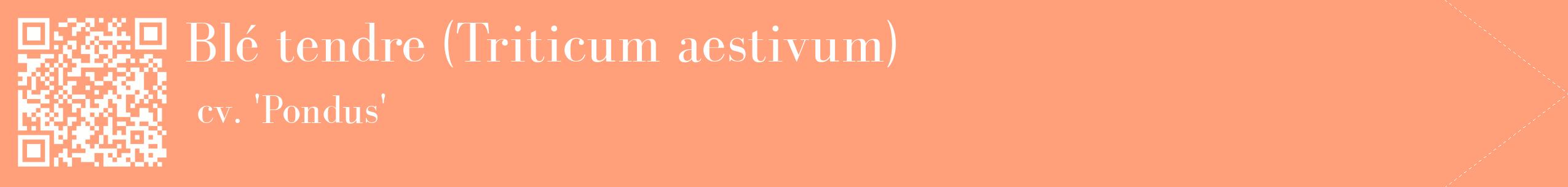 étiquette 2