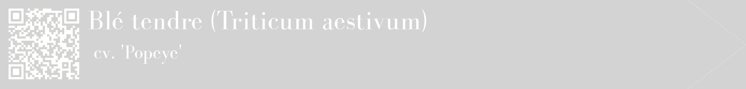 étiquette 2