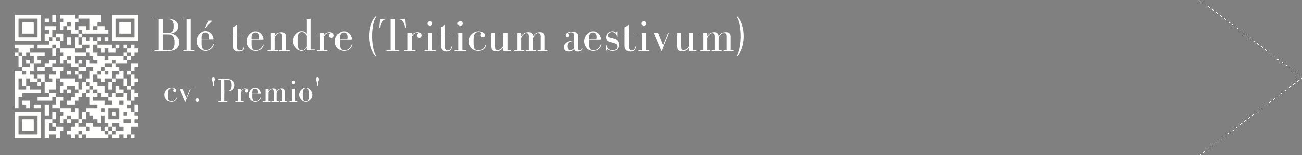 étiquette 2