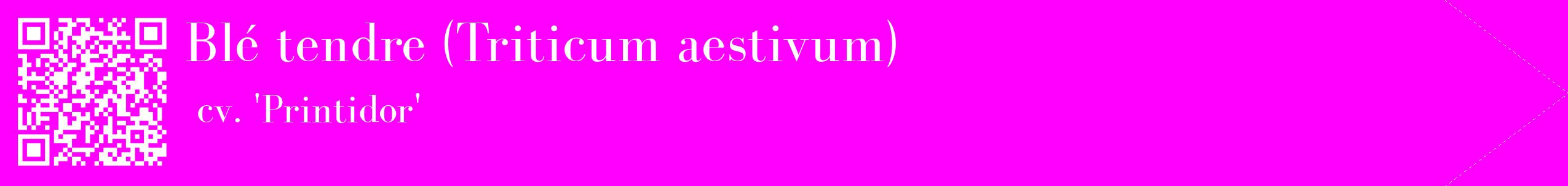 étiquette 2