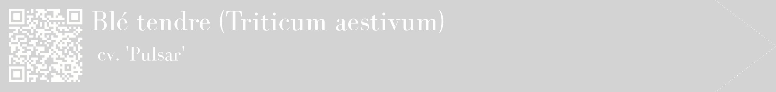 étiquette 2
