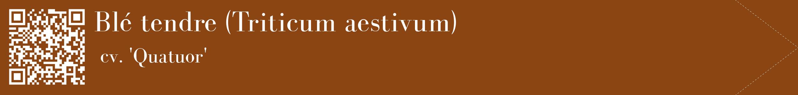 étiquette 2