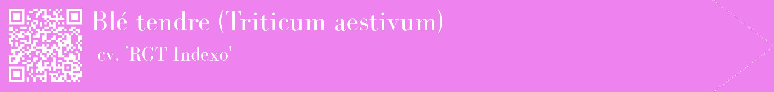 étiquette 2