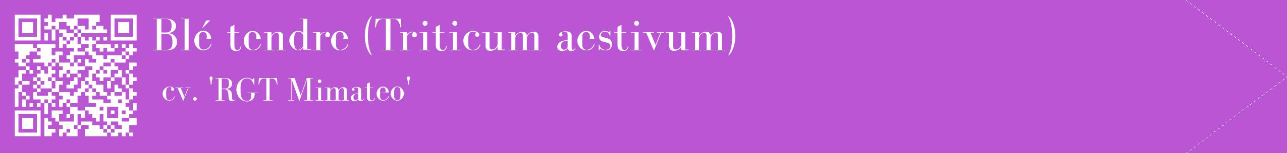 étiquette 2