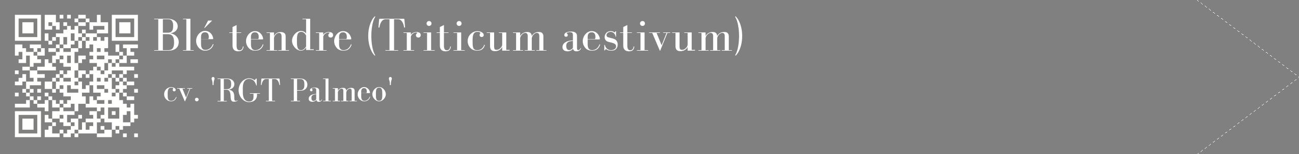étiquette 2