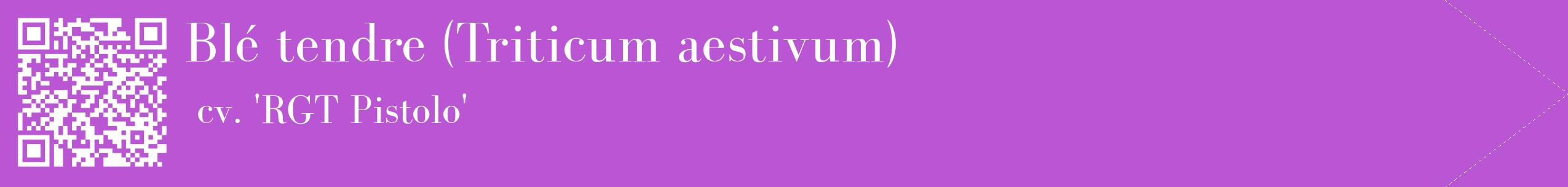 étiquette 2