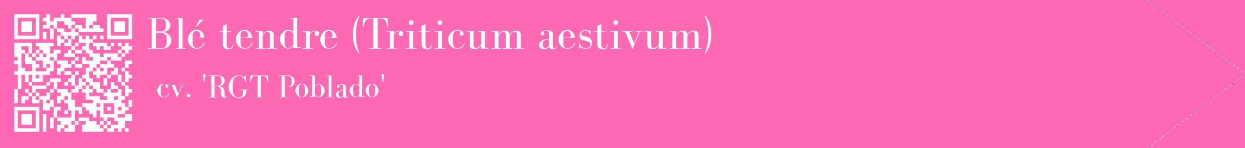 étiquette 2