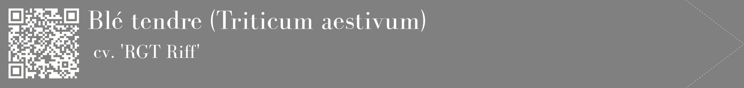 étiquette 2