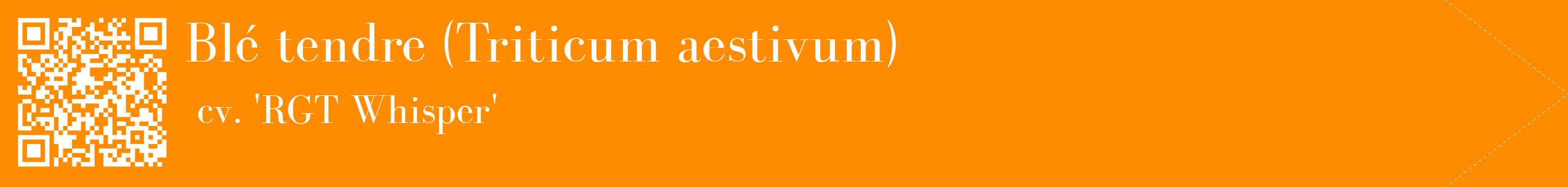 étiquette 2