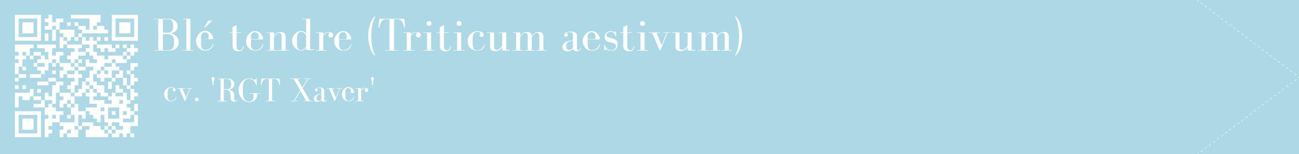 étiquette 2