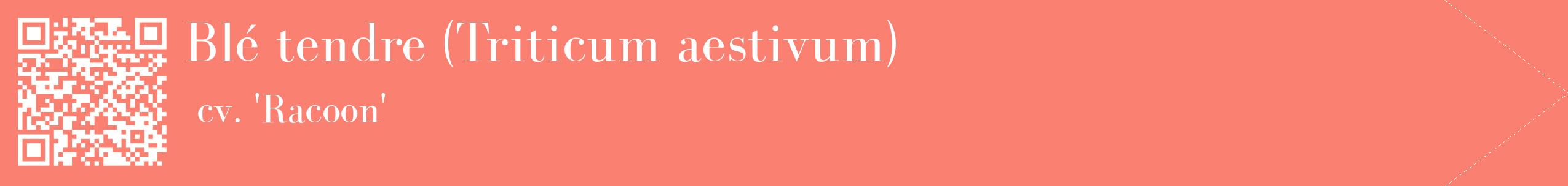 étiquette 2