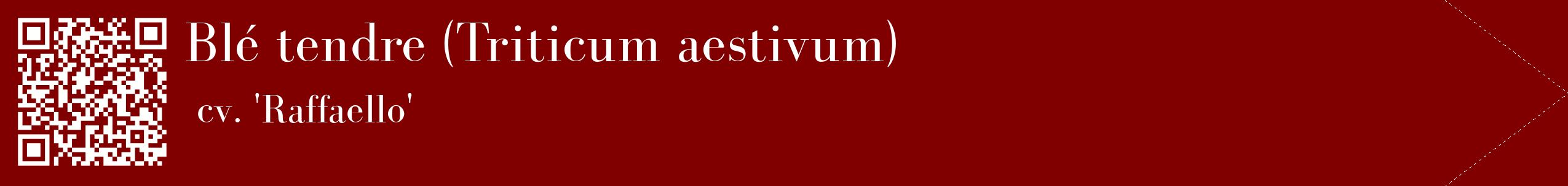 étiquette 2
