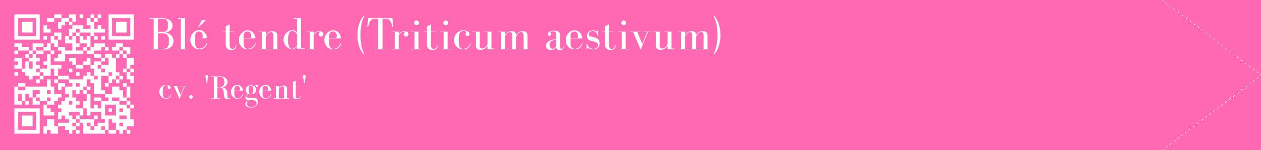 étiquette 2