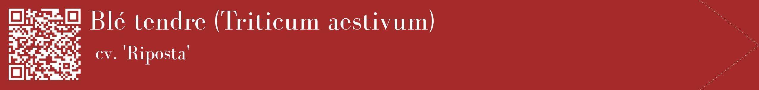 étiquette 2
