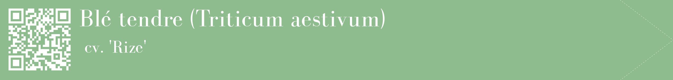 étiquette 2