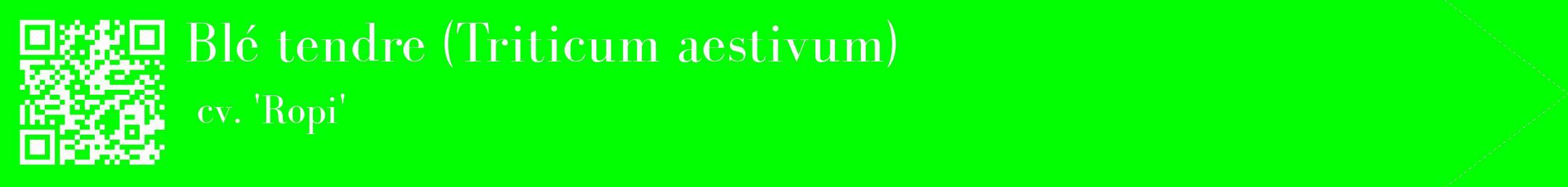 étiquette 2