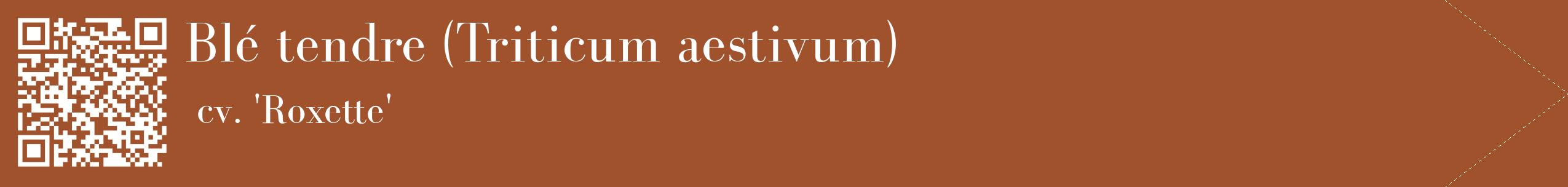 étiquette 2
