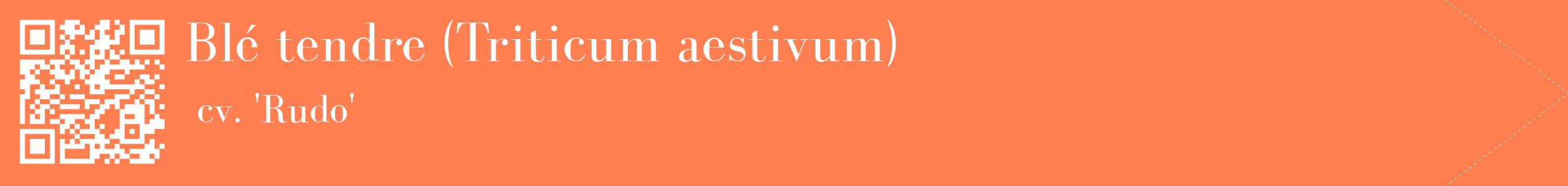étiquette 2