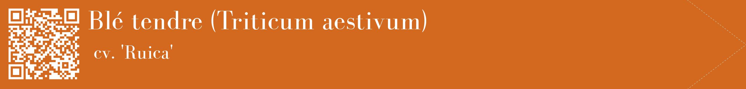 étiquette 2