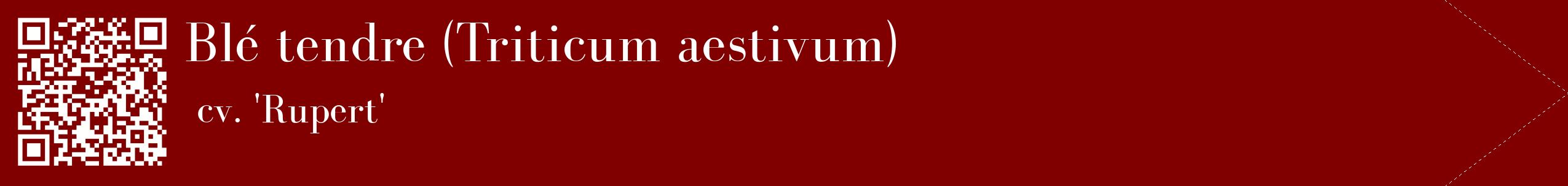 étiquette 2