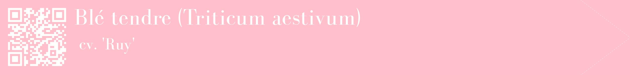 étiquette 2