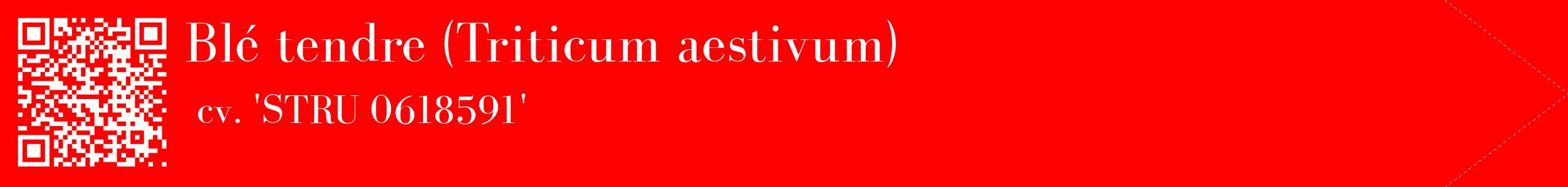 étiquette 2