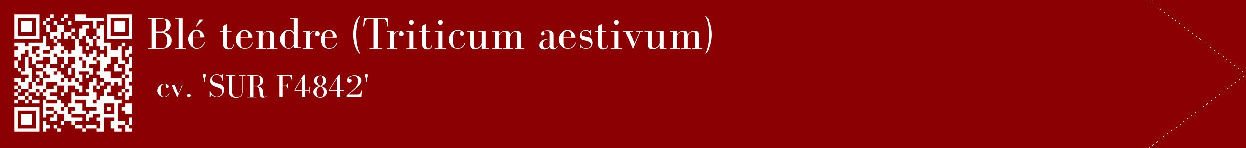 étiquette 2