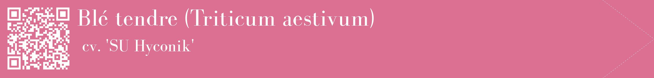 étiquette 2