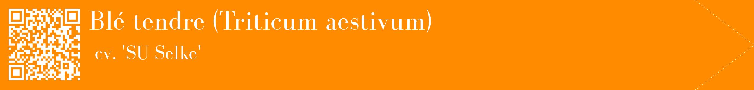étiquette 2