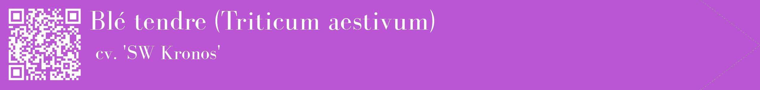 étiquette 2