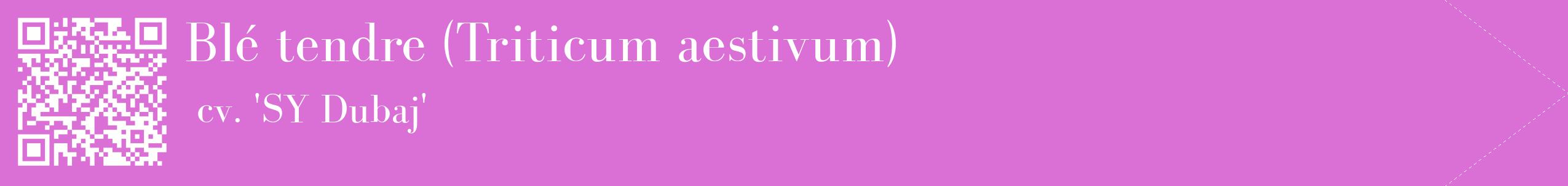 étiquette 2